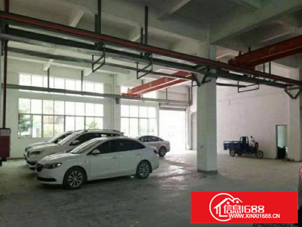 原房东出租清溪新出一楼400.800.1000平方带装修