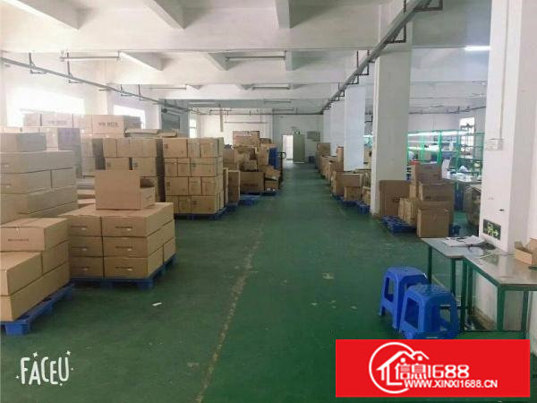 一楼整层1000平方出租可分租