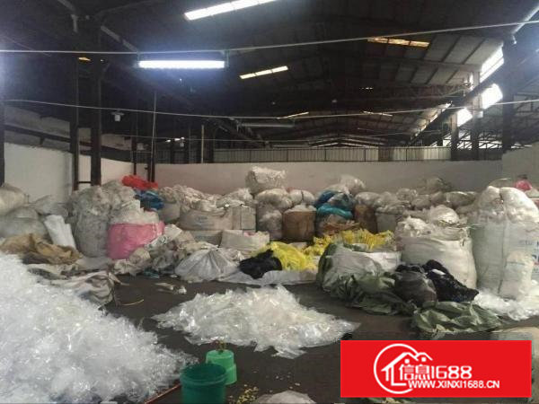 凤岗单一层钢构独院厂房出租2000平方高8米