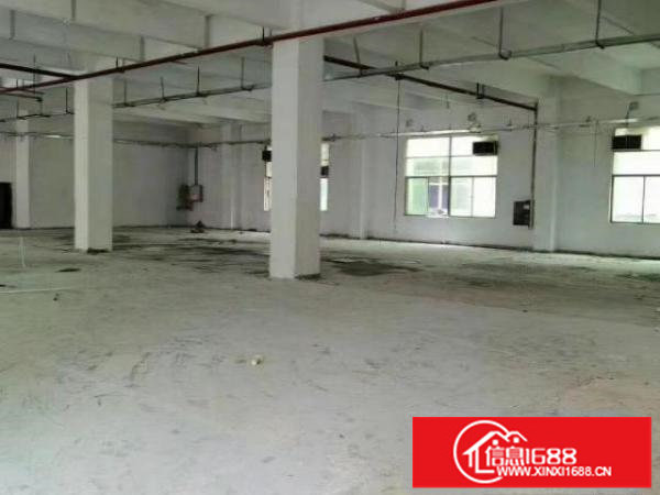 新出1楼700平可分240平460平适合各种行业