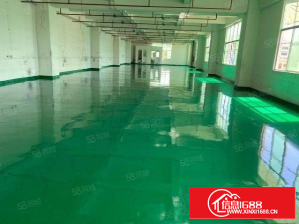 凤岗竹塘村小独院2000平方出租