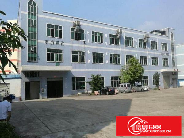 高埗独标准一楼厂房1000平方层高6米、水电线路齐全、空地大