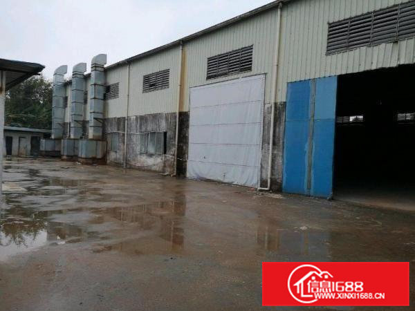 茶山镇独院钢构厂房出租