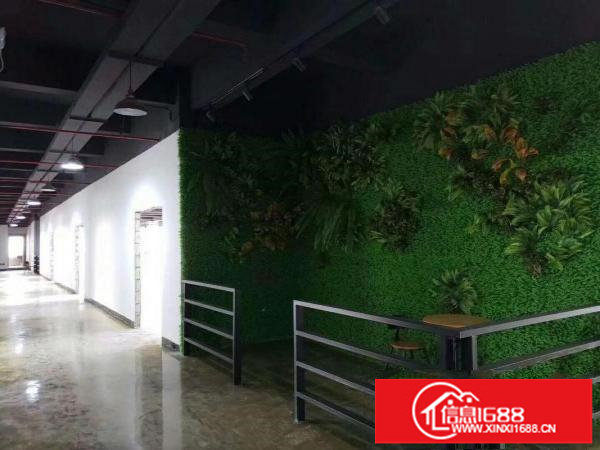 坂田杨美地铁口185平至3000平，价格低至32块每平方