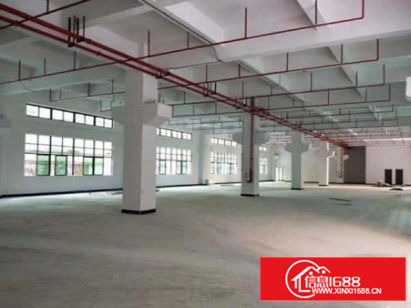 茶山卢边村厂房一楼1200平出租，高7米