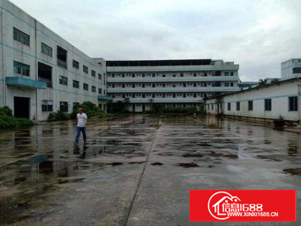 洁净车间豪华办公室，无转让费，1000平，超低价