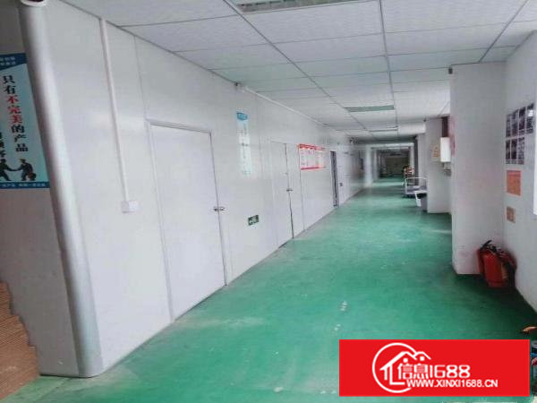 凤岗适合电子数据线针织豪华装修无尘车间出租1600平
