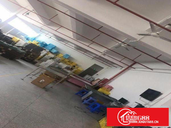 出租布吉布吉周边