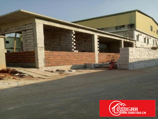 全新单层9米高厂房出租