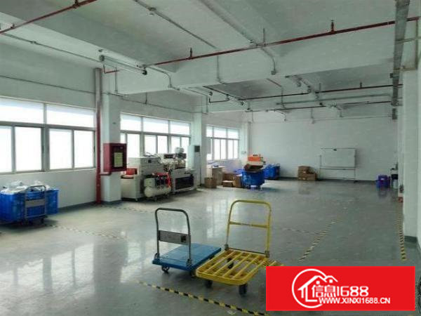 横沥石涌村独院楼上全新厂房1000平米原房东出租