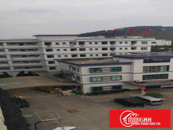 高速路口独门独院厂房！空地空间大！