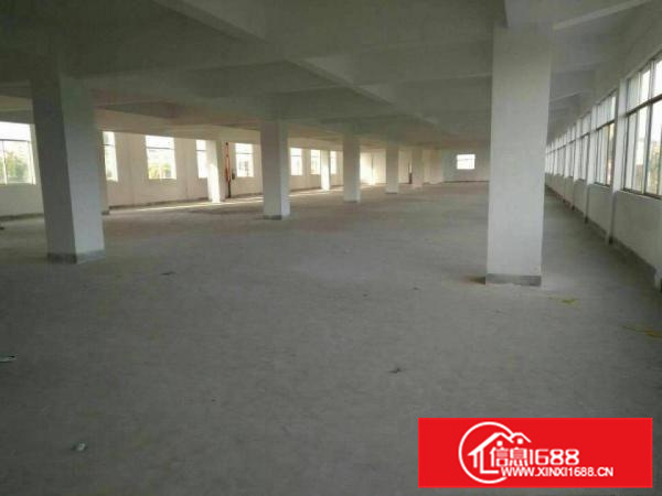 惠阳新墟1500平原房东楼上带装修厂房出租空地超大