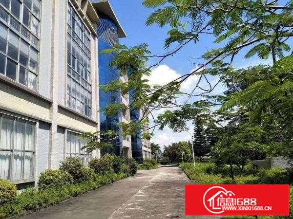 虎门沿江高速花园式厂房三楼2910平出租水电办公室齐全