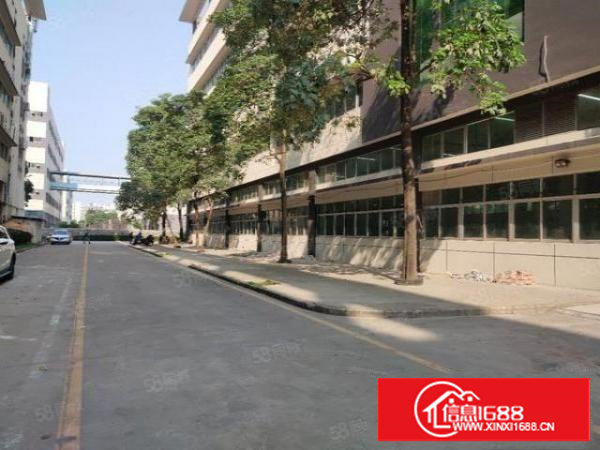 塘厦原房东大型园区一楼整层2500平方出租，实用率8成