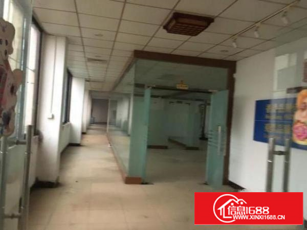 原房东钢结构10米滴水独门独院厂房出租