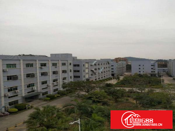 凤岗原房东一楼厂房）零公摊1500平米带水电厂房出租