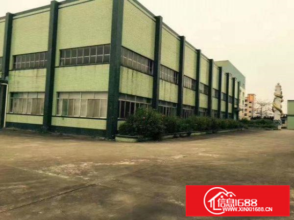 惠阳新圩原房东单一层钢结构红本厂房分栋、整体招租