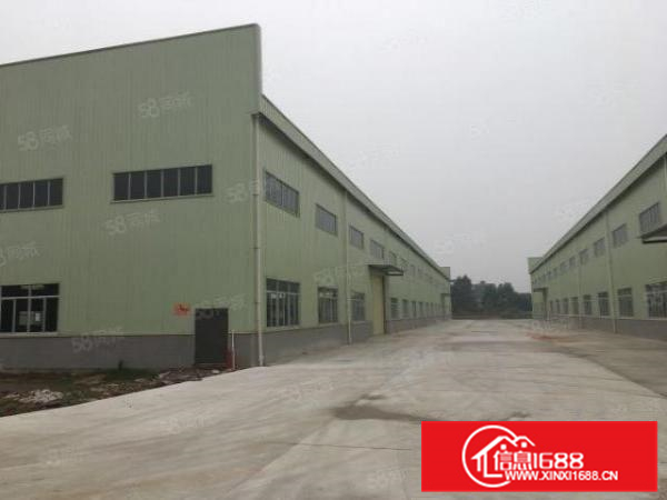 佛山一环三水高新园区全新单一层钢构两栋各七千一千方起分租