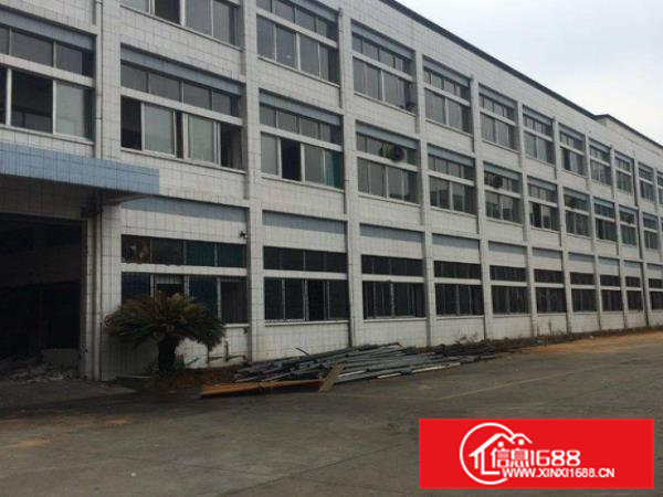 常平九江水标准厂房二楼面积1100平