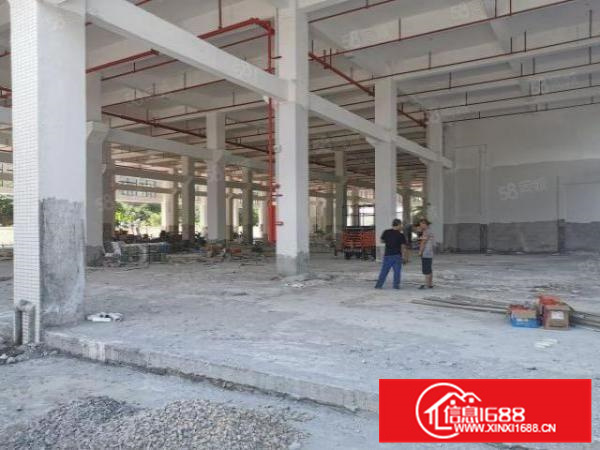 独栋别墅式顺德区杏坛镇高新区厂房出租空地免费使用