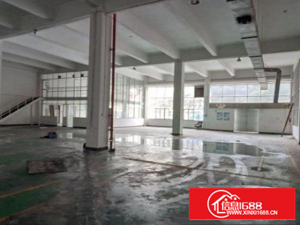 沙井共和原房东无公摊一楼1950平高六米红本厂房出租可分租