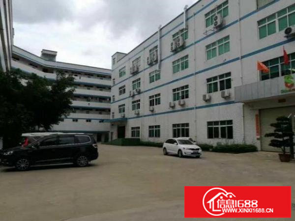 坪山石井新空楼上560平方带精装办公室厂房出租