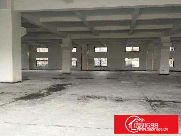 潼桥12000平米全新厂房出租可分租