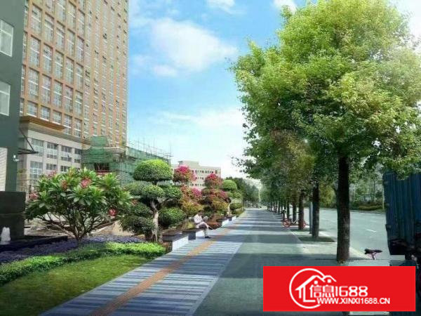 坂田杨美地铁口国际中心办公260平米带精装修出租