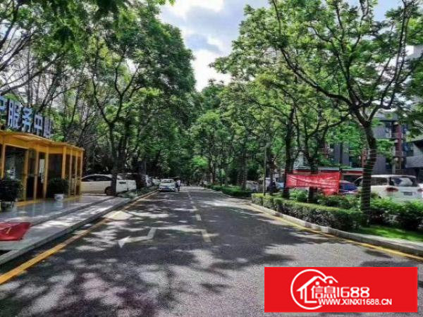 布吉百鸽笼地铁口园区总体量100000平，45平起租配装修。