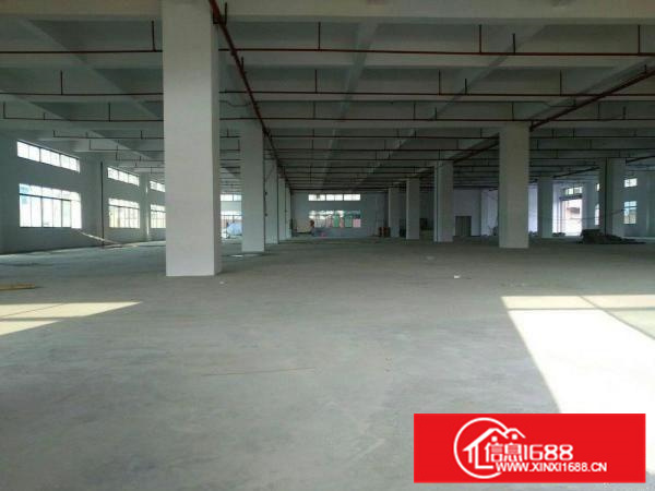 园洲镇工业园标准厂房出租8800平方，原房东独门独