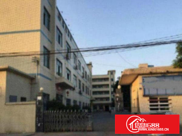 高埗环城路外独院标准楼房1栋3层6500平方出租