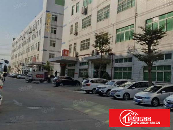 西乡银田一楼1000平米厂房仓库大小面积出租