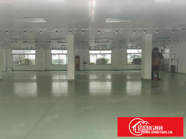 桥头镇大洲村原房东出租独立厂房一二楼2000平米，豪华装修