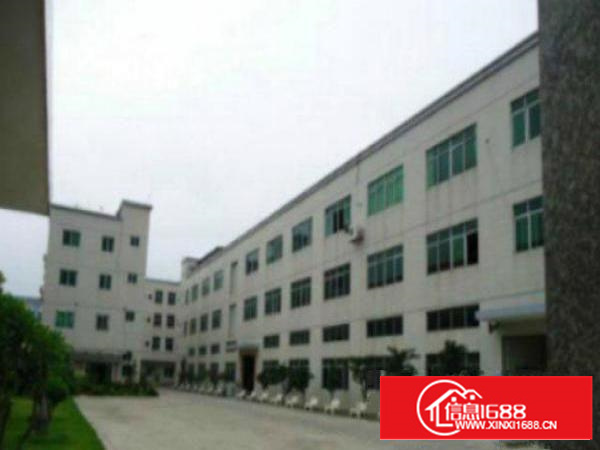 万江6米高一楼2300平方宿舍按需，电按需，空地大