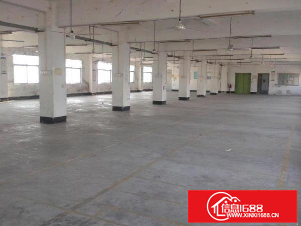 布吉地铁口新出带装修独门独院1一5层2840平米