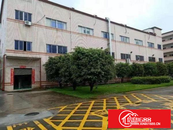 观澜库坑现成装修300平可进大拖头3间办公室