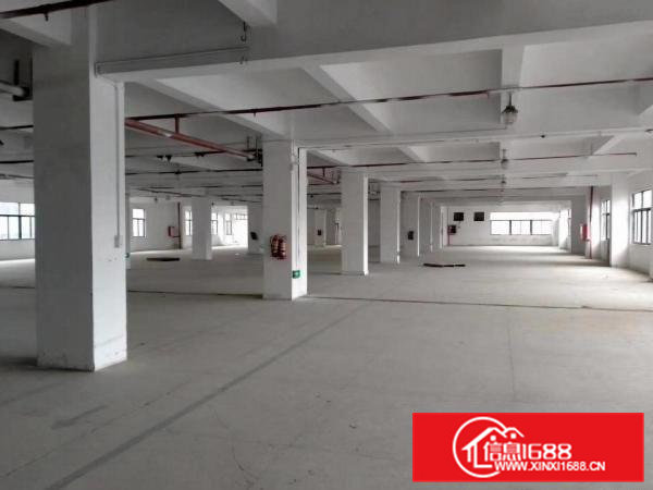 租13块租13块！！！茶山镇原房东标准厂房3700平方