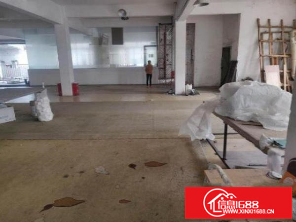 松岗中学附近新出原房东独院2640平招租（可分租）