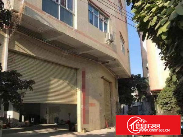 原房东向东村标准独栋3层1650平厂房出租带电梯全新地坪漆