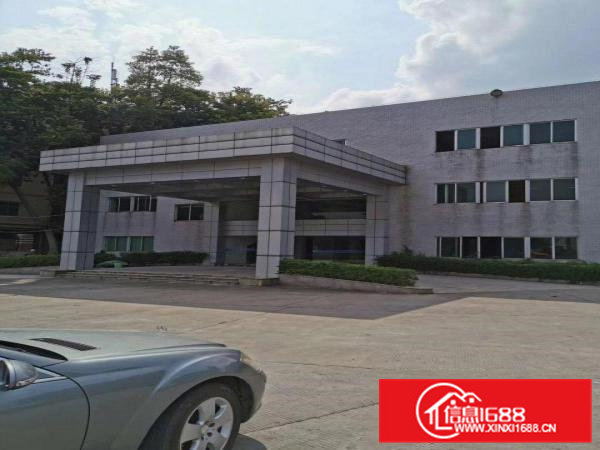 东坑角社独立园厂房出租