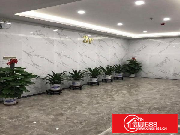 地铁口《电商写字楼》116至188平2 1格局拎包办公