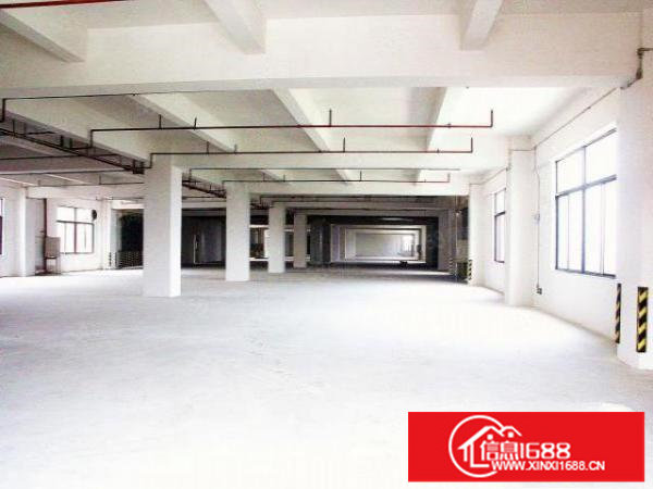 容桂工业园1800方厂房招租污染行业，集中处理，可分租！