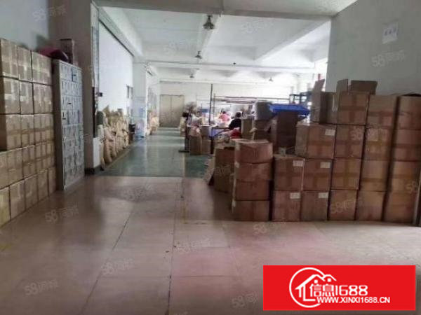 大浪原房东厂房华昌路楼上450平带现成装修，