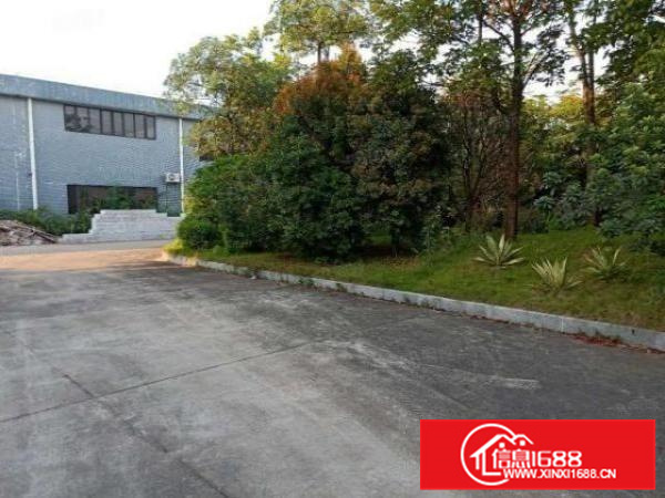 大塘工业园区原房东独院11500平方厂房出租，大小分租