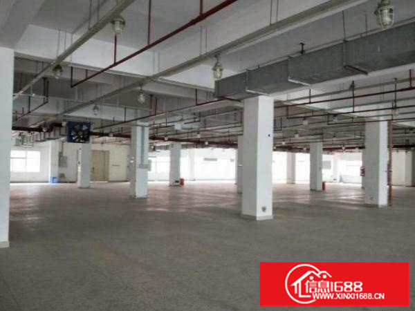 新出3万多平原房东厂房出租可做数据库等