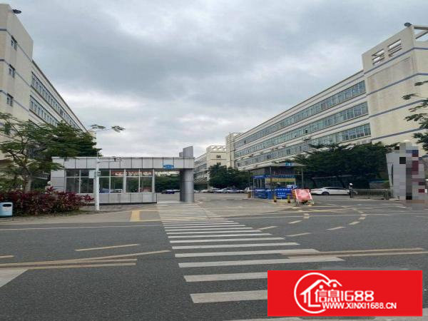 坂田杨美一二楼电商办公100平300平800平可分租