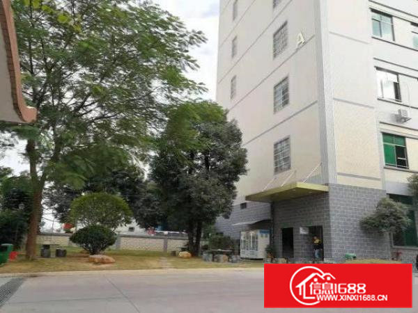 桥头镇原业主厂房出租