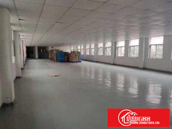 新生独院厂房分租楼上720平面积实在空地大带装修