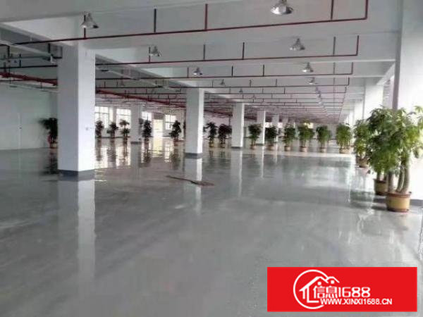 寮步大进工业区标准独门独院厂房出租22000平方