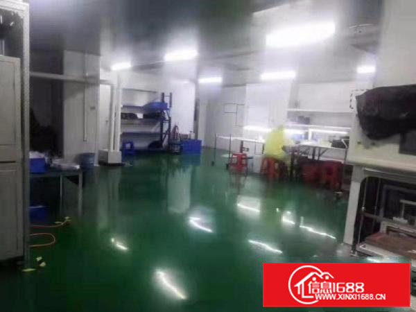 塘厦现成千级无尘车间出租1000平方好招工